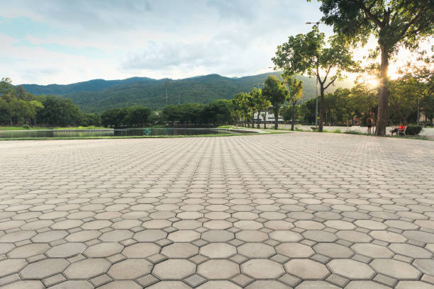 Best Professional Driveway Pavers  in USA